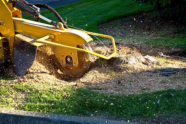 Lawn Irrigation Installation and Maintenance in Cascade Chipita Park, CO